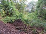 Conceptual Land Management & Restoration Plan Phase I Natureland County Park, Walworth County, Wisconsin 2015