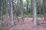 Conceptual Land Management & Restoration Plan Phase I Natureland County Park, Walworth County, Wisconsin 2015