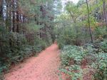 Conceptual Land Management & Restoration Plan Phase I Natureland County Park, Walworth County, Wisconsin 2015