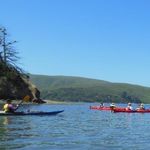 Tufts Travel-Learn Pedal, Paddle & Pinot