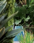 Towards Zero Waste Plan 2019-2023 - A waste avoidance, waste management and resource recovery plan for the Banyule community - Banyule City Council