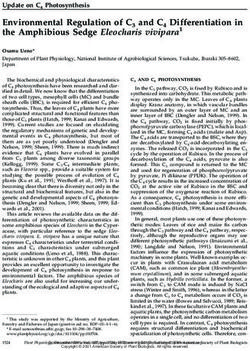 Environmental Regulation of C3 and C4 Differentiation in the Amphibious Sedge Eleocharis vivipara1