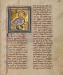 Song of Beasts Fantastic Creatures in Medieval Song - Ensemble Dragma - Primephonic