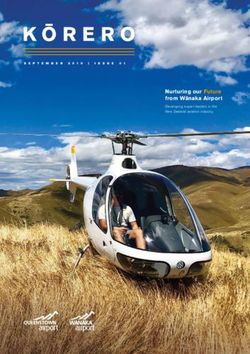 Nurturing our Future from Wānaka Airport - Queenstown Airport