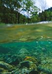 2ND RIVER BASIN MANAGEMENT PLANS - The European ...