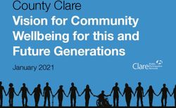 Vision for Community Wellbeing for this and Future Generations - County Clare