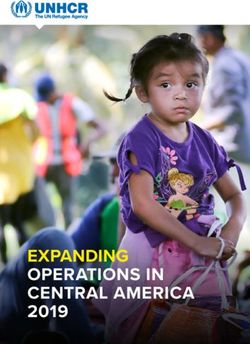 EXPANDING OPERATIONS IN CENTRAL AMERICA 2019 - Global Focus