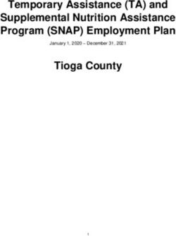 Temporary Assistance (TA) and Supplemental Nutrition Assistance Program (SNAP) Employment Plan Tioga County - Office of Temporary and Disability ...