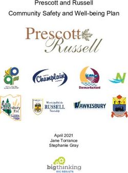 Prescott and Russell Community Safety and Well-being Plan - April 2021 Jane Torrance Stephanie Gray - Township of Russell