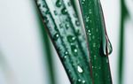 Flexcoat Friction-free Running - Your Partner for Sealing Technology