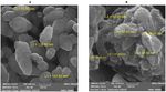 Folic Acid-Coated Nanochitosan Ameliorated the Growth Performance, Hematological Parameters, Antioxidant Status, and Immune Responses of Rainbow ...