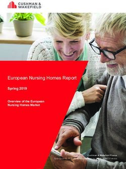European Nursing Homes Report - Spring 2019 Overview of the European Nursing Homes Market - SilverEco