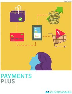 PAYMENTS PLUS - Oliver Wyman