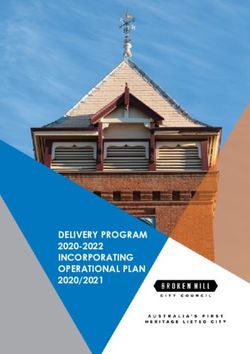 DELIVERY PROGRAM 2020-2022