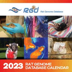 RAT GENOME DATABASE CALENDAR