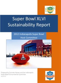Super Bowl XLVI Sustainability Report - 2012 Indianapolis Super Bowl Host Committee