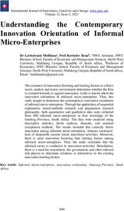 Understanding the Contemporary Innovation Orientation of Informal Micro-Enterprises - IJICC