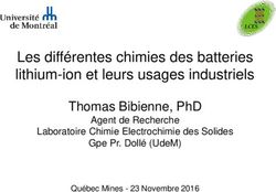 LES DIFF&Eacute;RENTES CHIMIES DES BATTERIES LITHIUM-ION ET LEURS USAGES INDUSTRIELS - THOMAS BIBIENNE, PHD