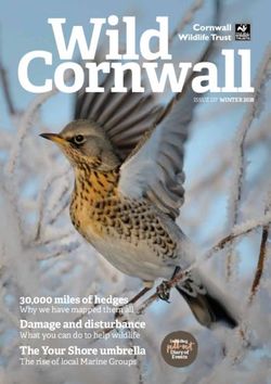 Cornwall - pull-out 30,000 miles of hedges - Cornwall Wildlife Trust