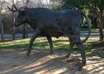 SCULPTURE DOWNTOWN ROUND ROCK, TEXAS - Prete Plaza, Centennial Plaza, Chisholm Trail - City of Round Rock