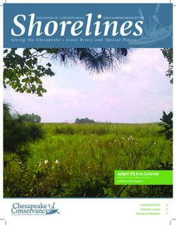 Shorelines - Chesapeake Conservancy