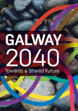 2040 GALWAY Towards a Shared Future