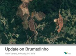 Update on Brumadinho Rio de Janeiro, February 28th, 2019 - Vale.com