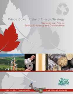 Prince Edward Island Energy Strategy - Securing our Future: Energy Efficiency and Conservation - Government of Prince Edward ...