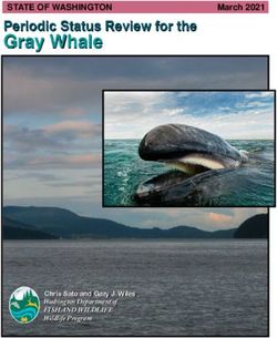 Gray Whale Periodic Status Review for the - STATE OF WASHINGTON - WDFW