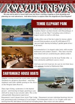 TEMBE ELEPHANT PARK - Umlingo Travel PR