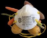 African and Native American foodways and resilience: From 1619 to COVID-19