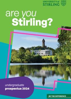 University of Stirling - Undergraduate Prospectus 2024