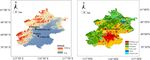 Measurement report: Exploring NH3 behavior in urban and suburban Beijing: comparison and implications
