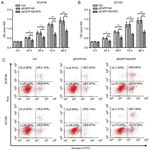 XPD inhibits cell growth and invasion and enhances chemosensitivity in esophageal squamous cell carcinoma by regulating the PI3K/AKT signaling pathway