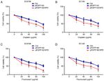 XPD inhibits cell growth and invasion and enhances chemosensitivity in esophageal squamous cell carcinoma by regulating the PI3K/AKT signaling pathway