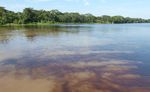 LANDSCAPE LEVEL BIODIVERSITY BASELINE IN THE PERUVIAN AMAZON USING eDNA