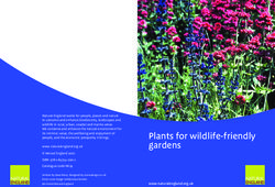 Plants for wildlife-friendly gardens