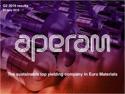 The sustainable top yielding company in Euro Materials - Q2 2019 results 31 July 2019
