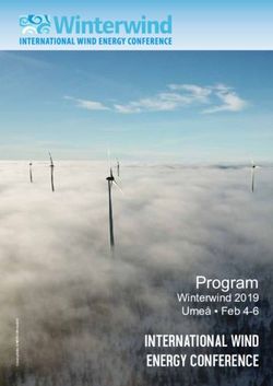 Program Winterwind 2019 Umeå Feb 4-6 - international Wind Energy Conference