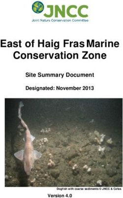 East of Haig Fras Marine Conservation Zone - Site Summary Document Designated: November 2013