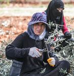 Syrian Refugee Resilience Plan - 2019-2020 Turkey - Syrian Refugee Resilience Plan 2019-2020