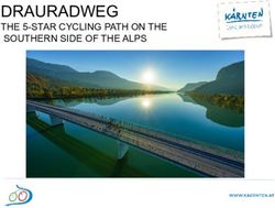 DRAURADWEG THE 5-STAR CYCLING PATH ON THE SOUTHERN SIDE OF THE ALPS - Drava Bike