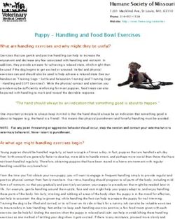 Puppy - Handling and Food Bowl Exercises