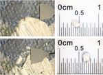COMBINED 14C ANALYSIS OF CANVAS AND ORGANIC BINDER FOR DATING A PAINTING