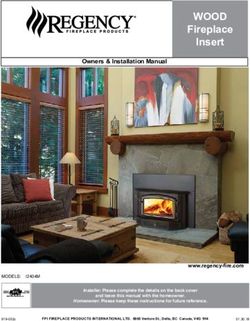 WOOD Fireplace Insert - Regency Ignite Dealer ...
