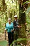 North Taranaki Forest & Bird + Kiwi Conservation Club news - Forest and Bird