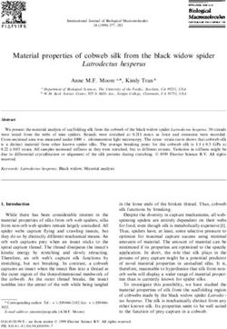 Material properties of cobweb silk from the black widow spider