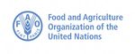Human Fraternity for Working Together to Achieve a Better Future 4 February 2021 - www.internationalhumanitariansummit.com