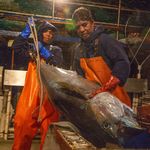 President Obama created some of the world's largest protected marine reserves, a decision long protested by the fishing industry. Yet some are ...