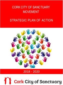 CORK CITY OF SANCTUARY MOVEMENT STRATEGIC PLAN OF ACTION 2018 2018 - 2020